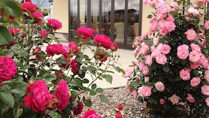 Een gebouw met grote ramen en een tuin vol roze rozen.