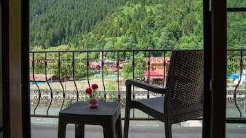 Apartment, 1 Bedroom, Balcony, River View | Balcony