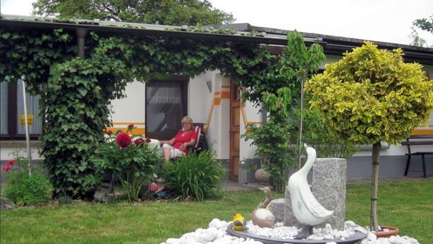 حديقة