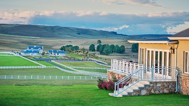 Property grounds - Eezi Bookings Dullstroom - Private Rentals (Dullstroom)