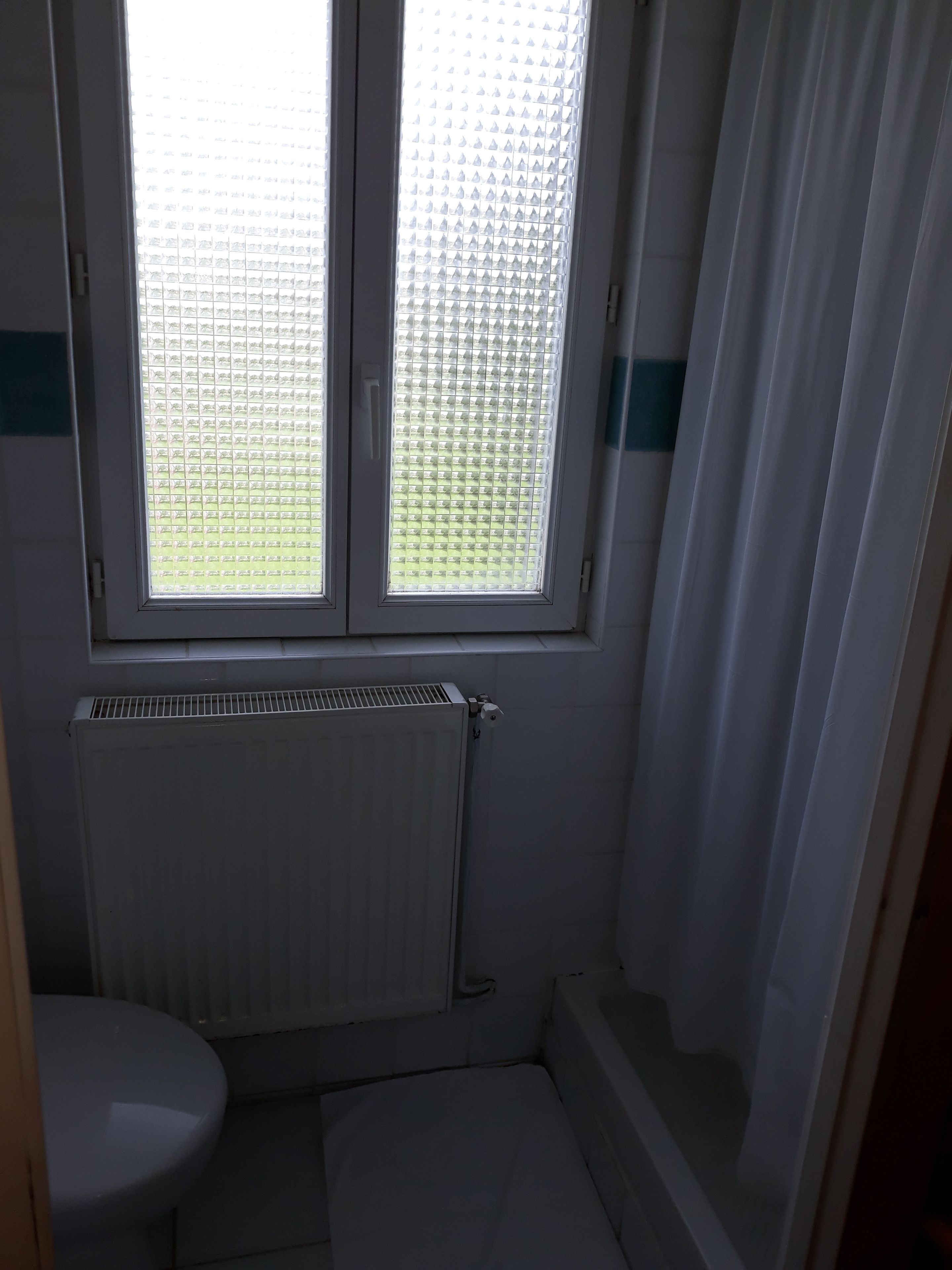 A small bathroom with a toilet, a radiator, and a window with a grid pattern.