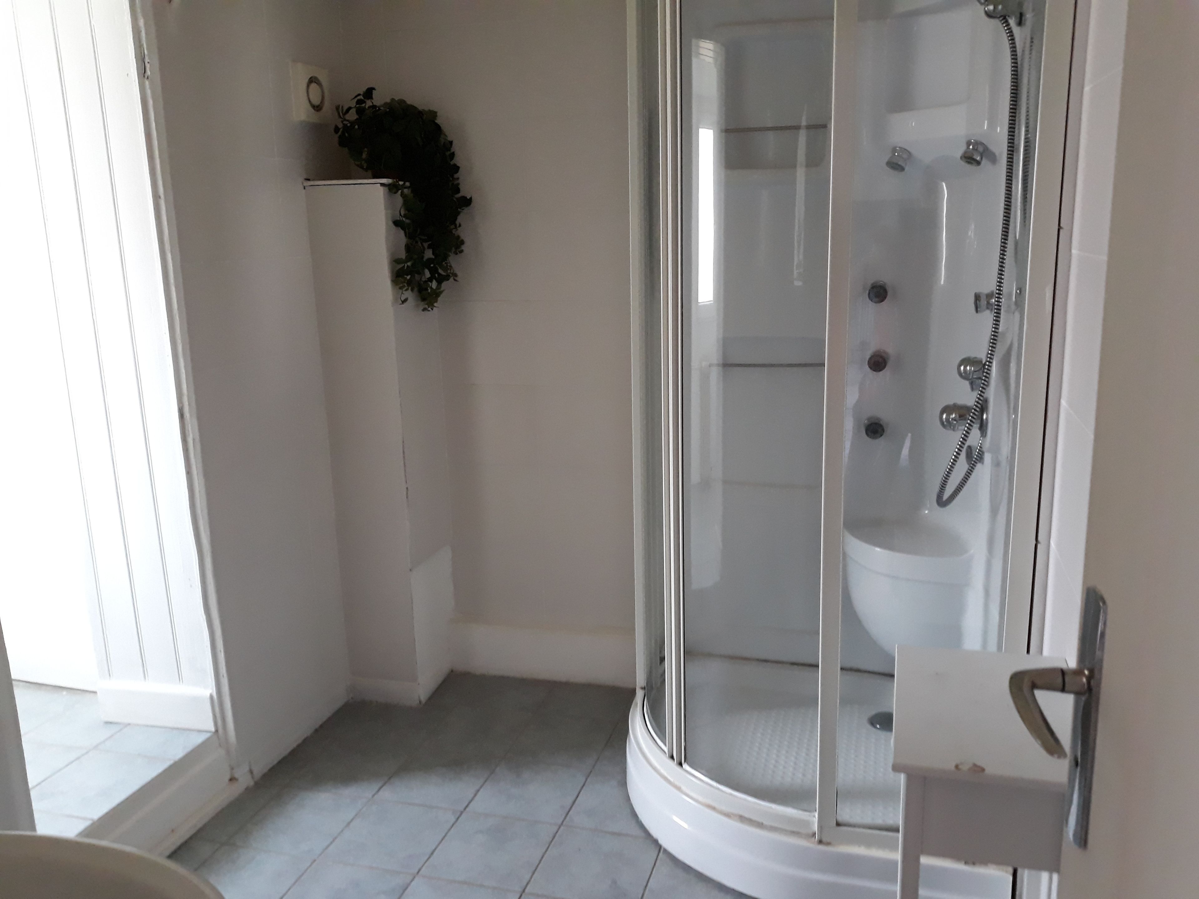 A bathroom with a glass-enclosed shower, a white toilet, and a small shelf with a plant.