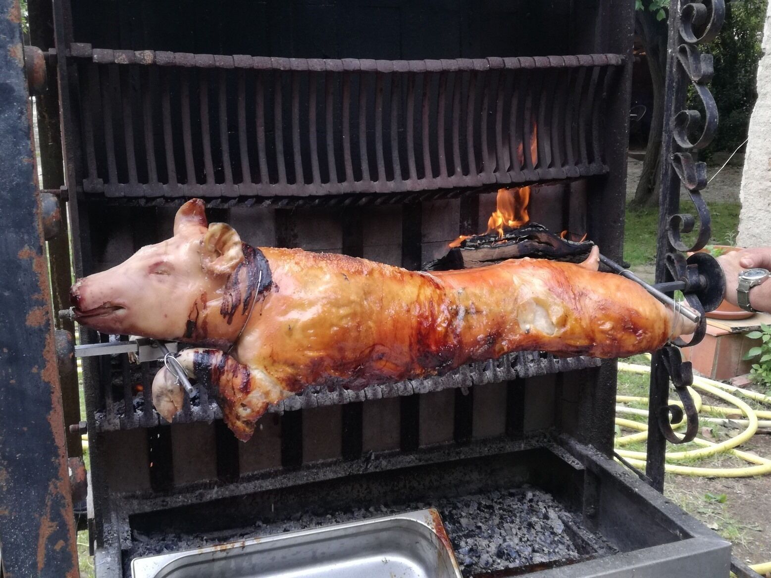 A whole roasted pig on a spit over an open flame.
