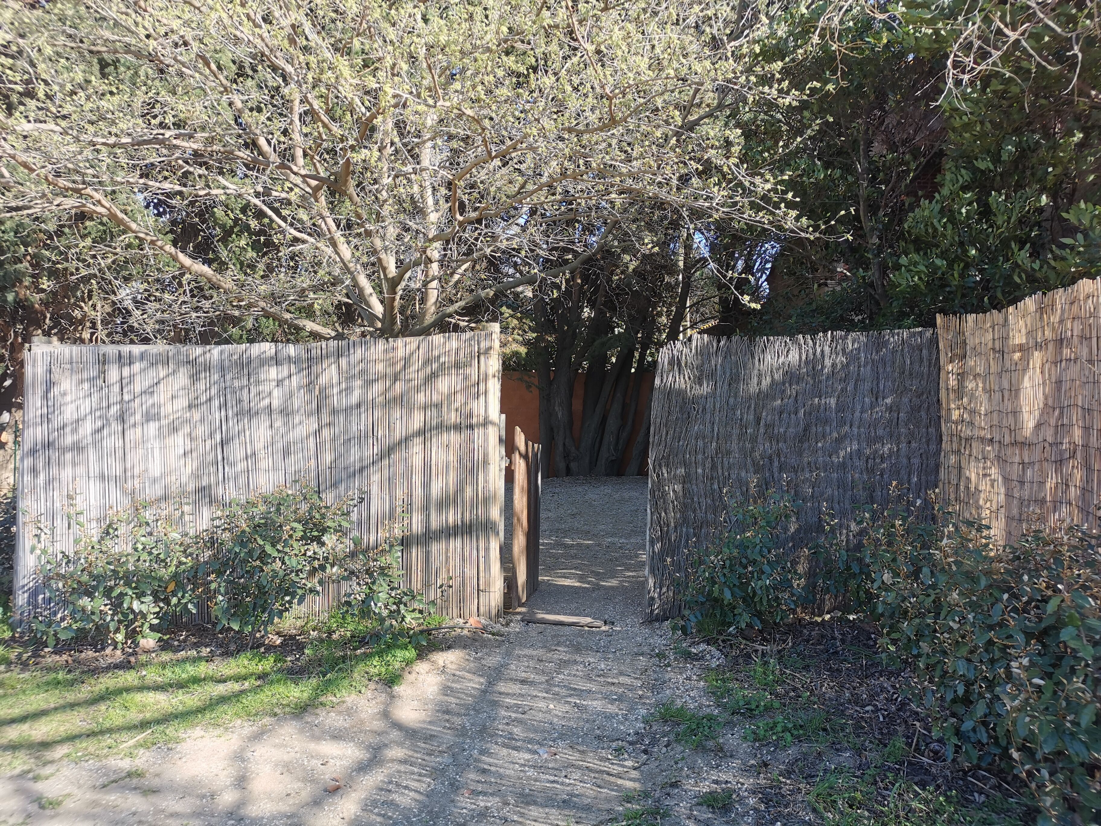 Un estrecho sendero que atraviesa una cerca de madera hacia un jardín con árboles y arbustos.