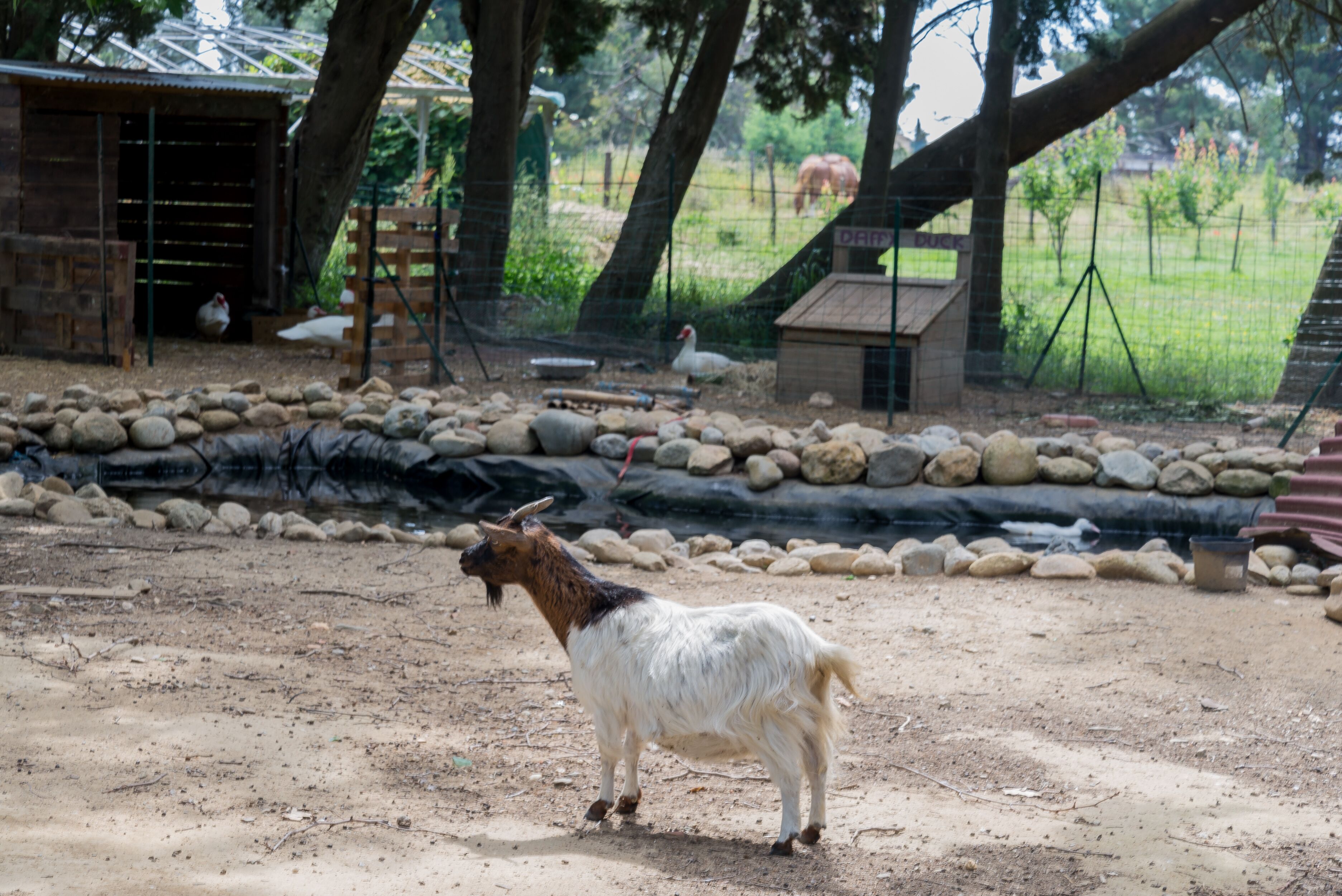 Photo - Domaine du Mas Bazan