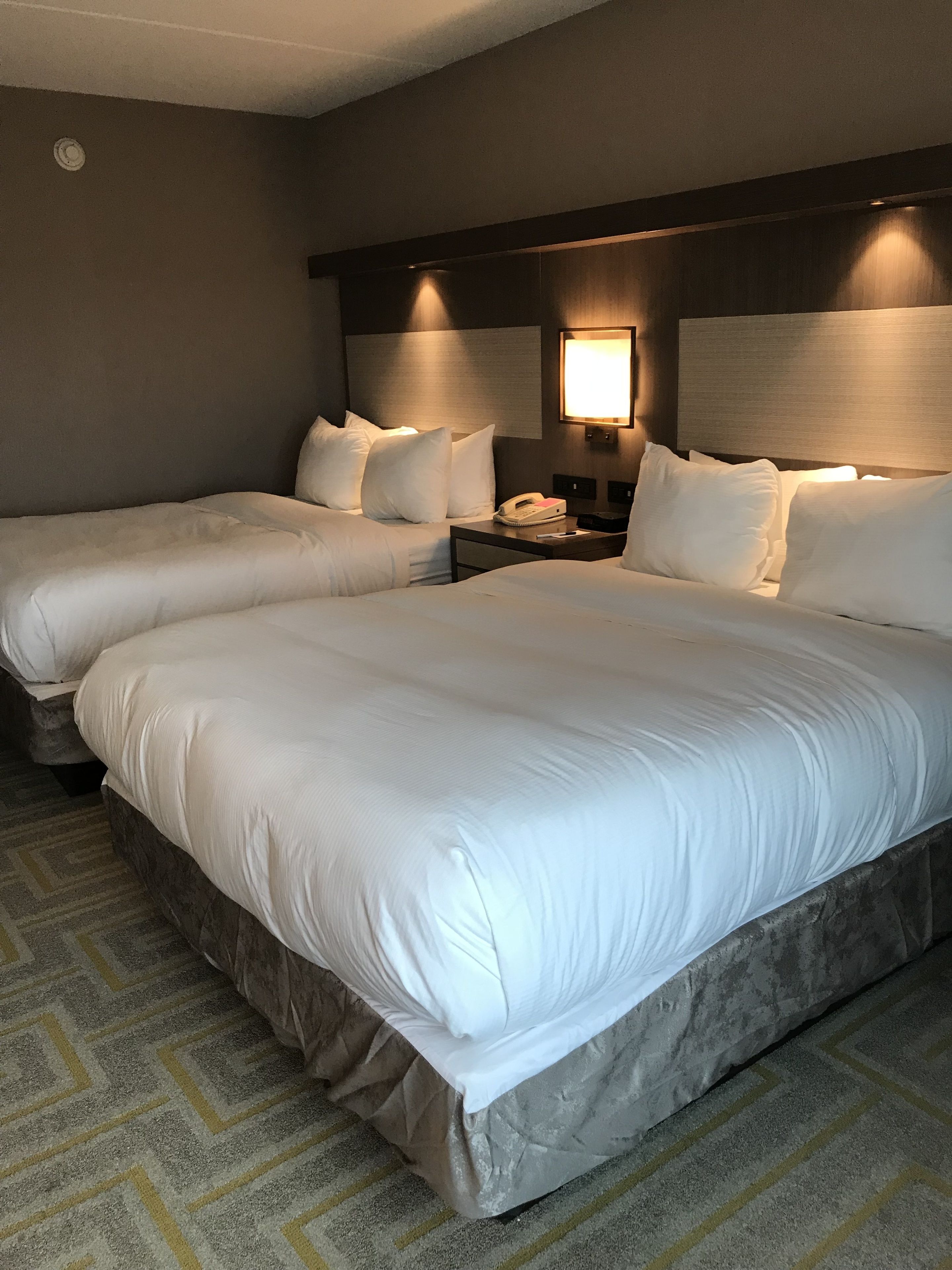 Standardzimmer, 2 Queen-Betten | Zimmersafe, Schreibtisch, Bügeleisen/Bügelbrett, kostenloses WLAN