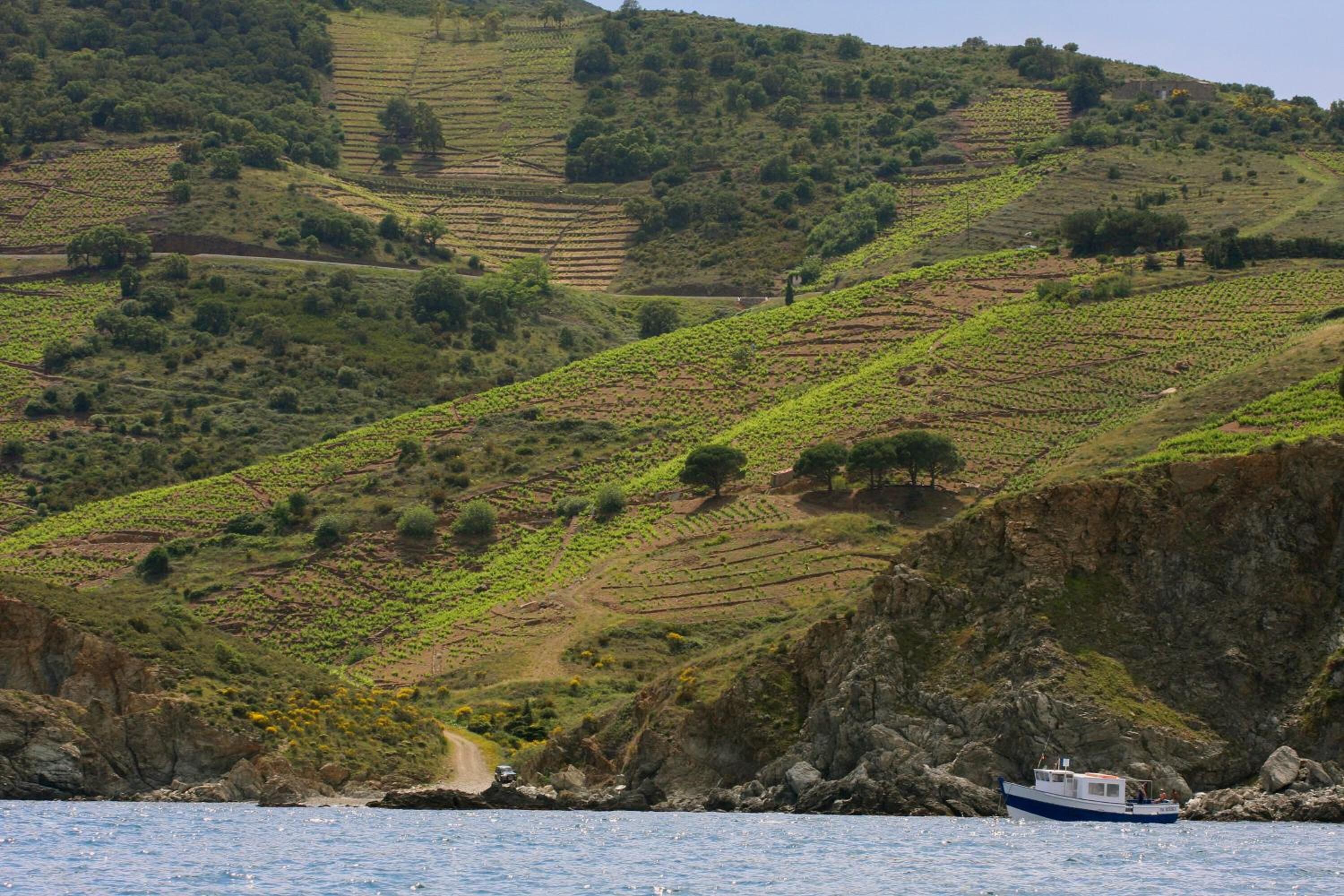 Foto - sol appart hotel