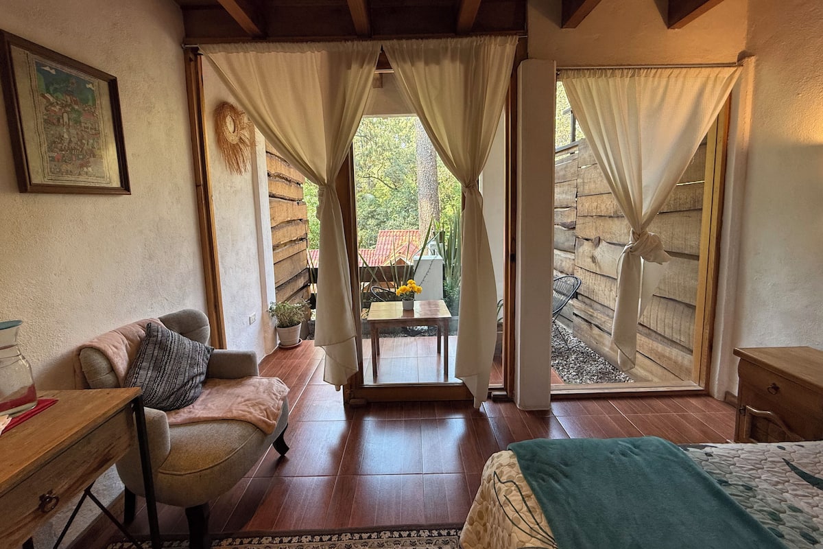 Una habitación con cama, una silla, una mesita con planta y vistas al exterior.