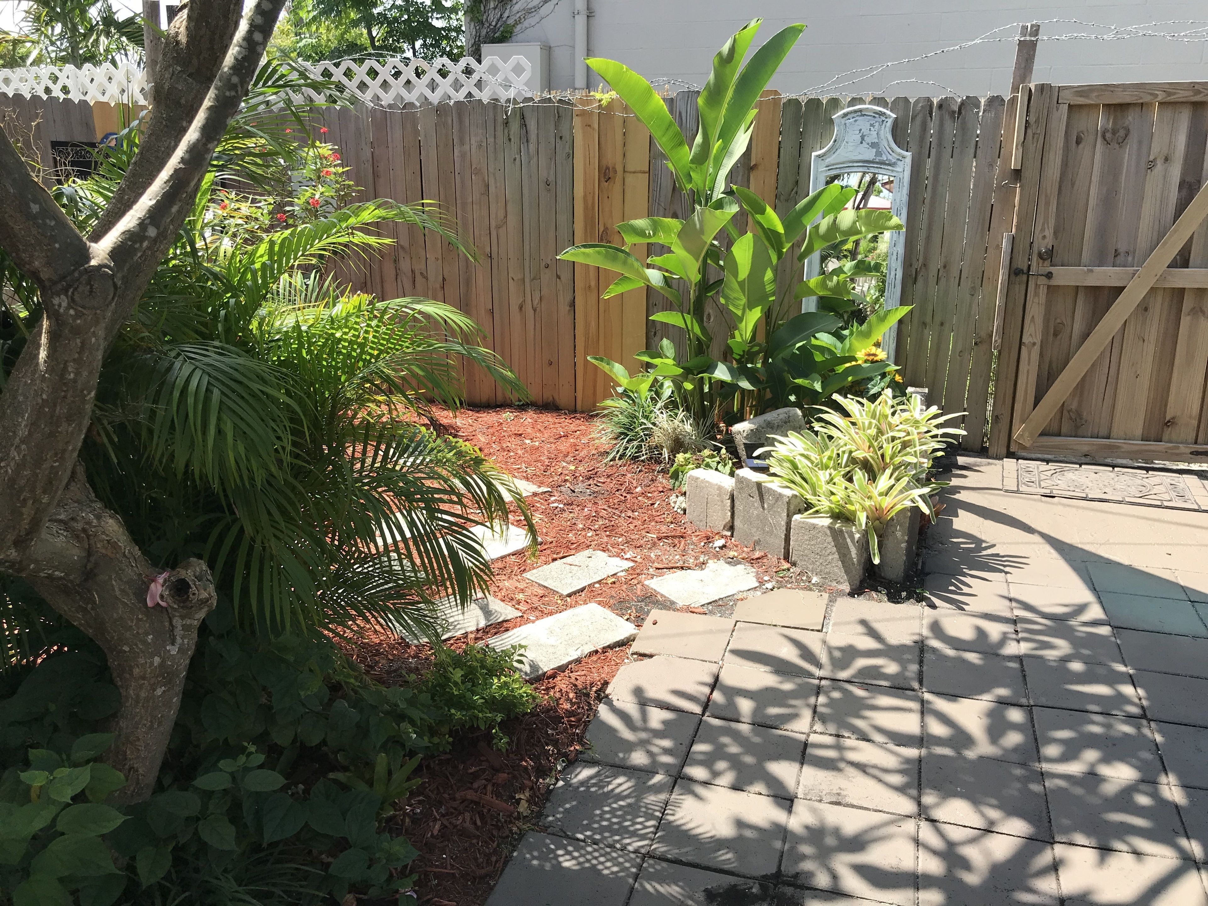 A garden with a wooden fence, various plants, and stepping stones.