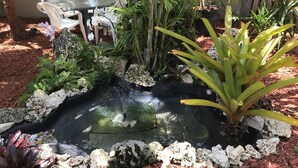 Un jardín con un estanque, rodeado de diversas plantas y rocas.