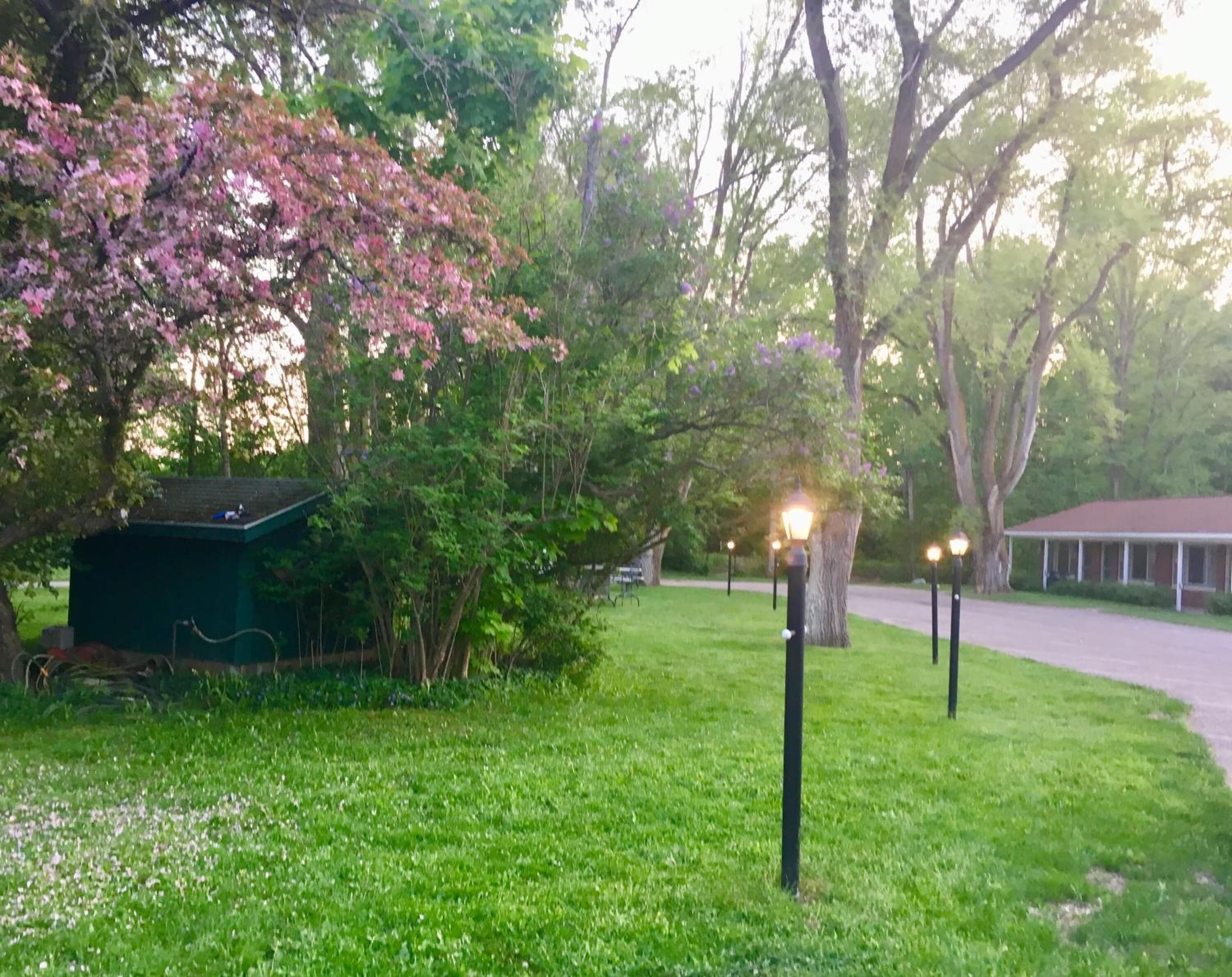A grassy area with a green shed, trees, and a building in the background.