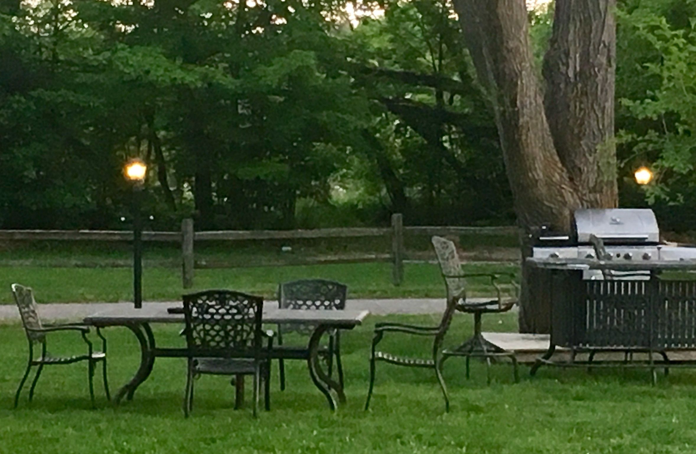 En utomhusplats med ett bord och stolar, en grill och ett stort träd i bakgrunden.