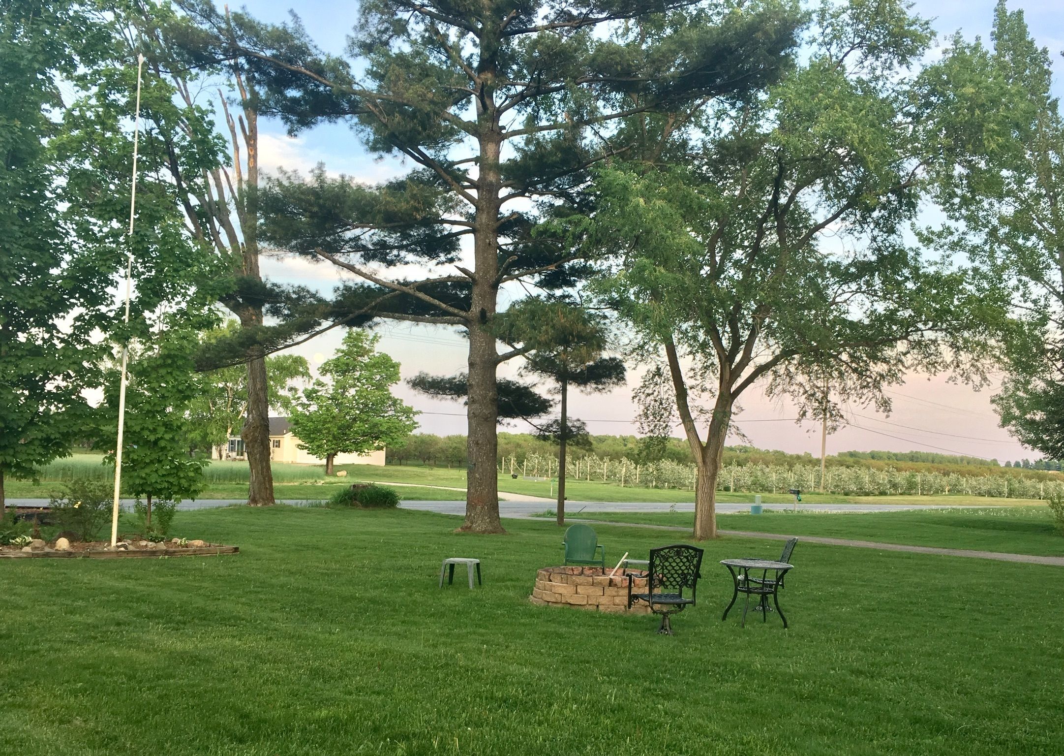 A grassy park area with trees, a bench, and a small table.