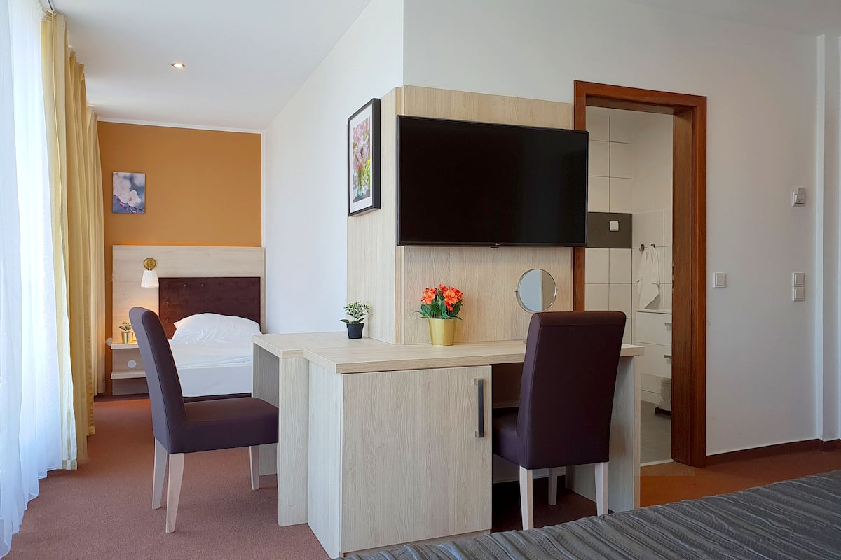 A hotel room with a bed, a desk with two chairs, a television, a mirror, and a small potted plant.