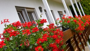 Una hilera de bancos de madera con flores rojas frente a un edificio blanco con numerosas ventanas y un porche.
