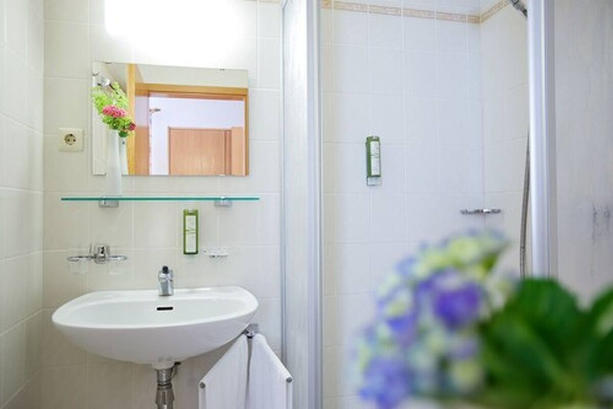 shower, free toiletries, hair dryer, bathrobes