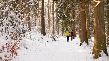 Un camí nevà a través d'un bosc amb arbres alts i un recorregut ben marcat.