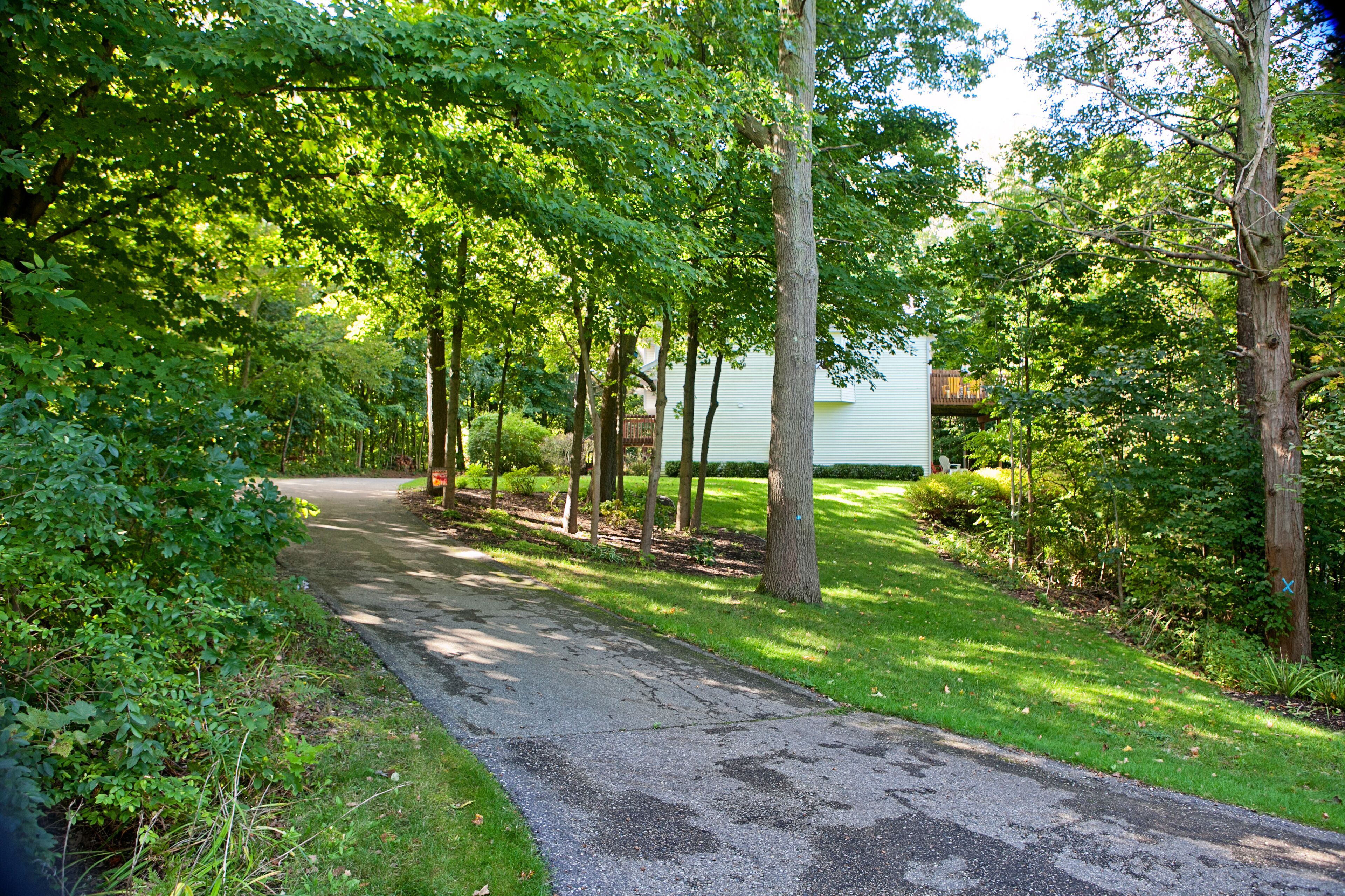 A paved pathway flanked by lush green trees and grass, leading to a white building with a visible deck area.