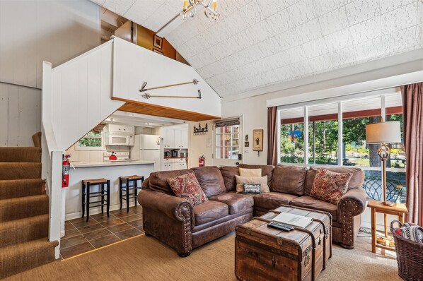 TV, fireplace, books