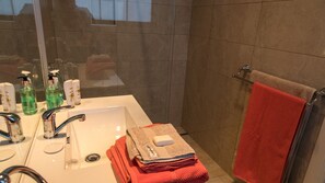 Shower, hair dryer, towels, soap