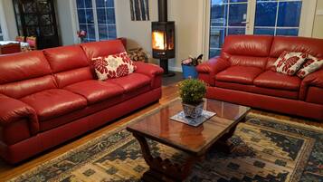 Télévision, cheminée, lecteur de DVD, livres