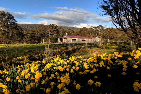 spring 2018
