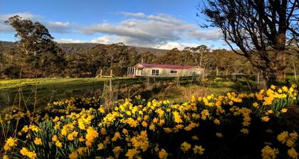 Mountain Blue Guest house