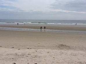 Beach - Quaint Ogunquit Condo 5 Min.Walk To Perkins Cove & Marginal Way (Ogunquit)