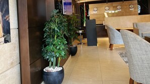A modern lobby with a reception desk, seating area, and a large potted plant. - The Seventh Star Hotel Suites (Amman)