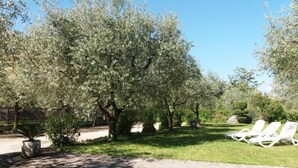 A garden with olive trees, a stone pathway, and white lounge chairs. - Garda Residences   Le Rasole Economy (Garda)
