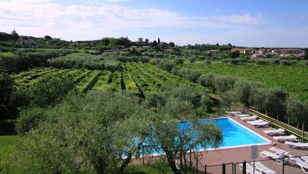 A pool with lounge chairs, surrounded by olive groves and a clear sky.