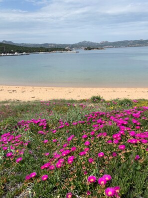 Una spiaggia nelle vicinanze