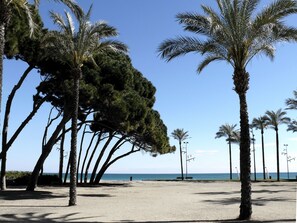 Playa