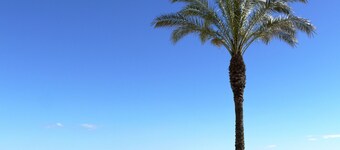 AQUAMARINA A HomeStay by Turismar