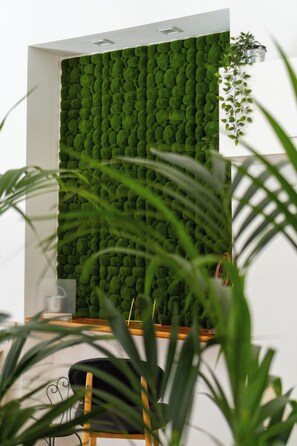 Interior - THE MOUNTAIN OMBELIC - Studio apartment deluxe (Piazza Armerina)