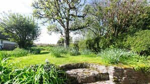A stone well surrounded by lush greenery and a large tree. - Gorgeous thatched cottage in Purbeck - ideal for family holidays (Bere Regis)