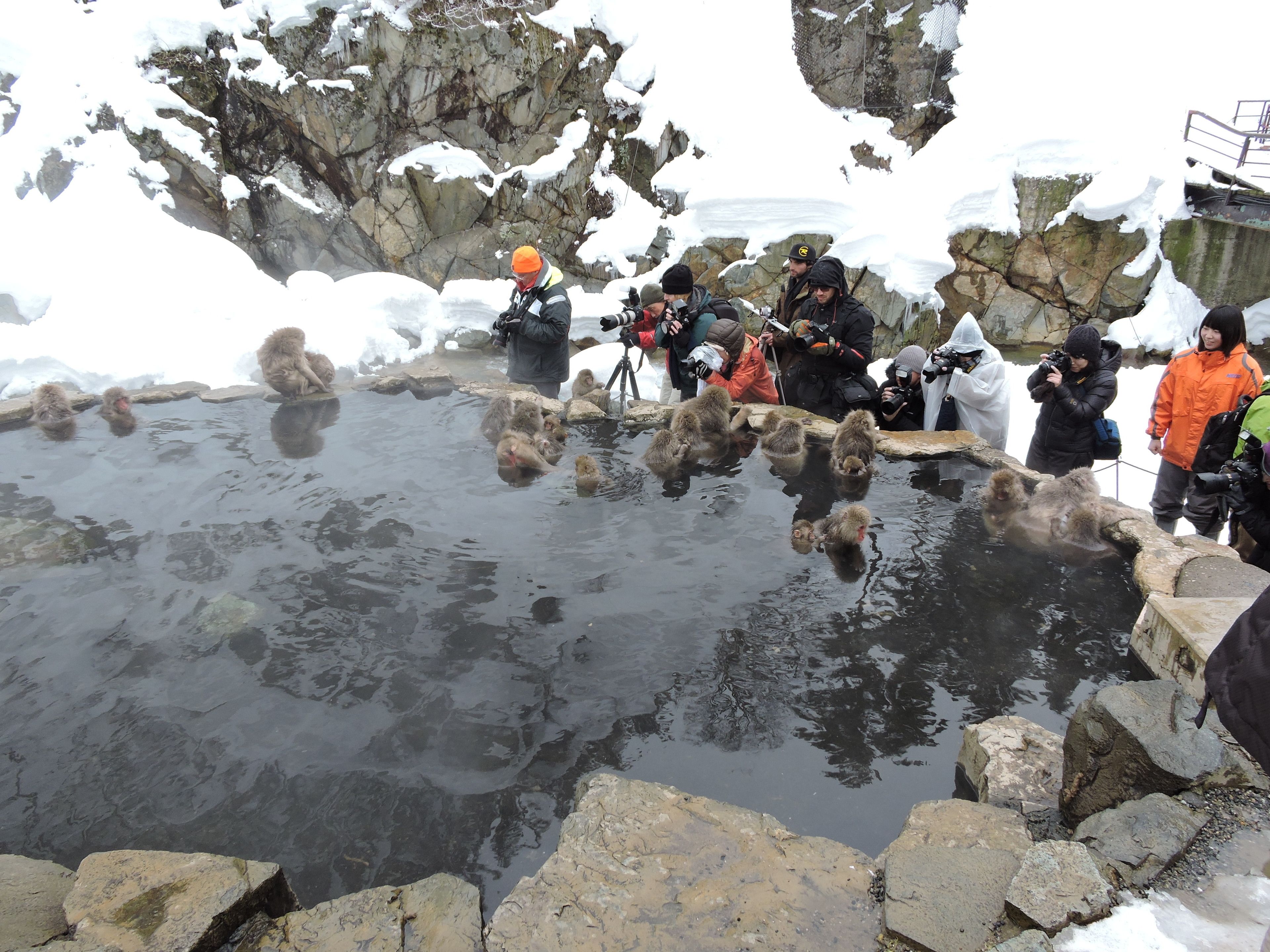 A group of people around a natural hot spring with rocky surroundings.