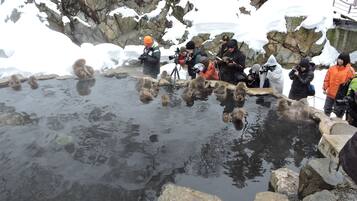 A group of people around a natural hot spring with rocky surroundings.