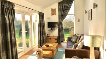 Smart TV, books, stereo