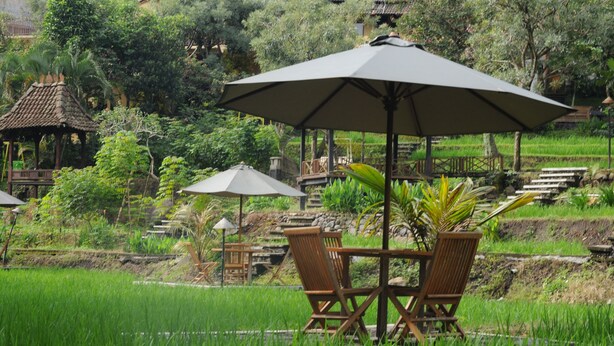Un área de estar al aire libre tranquila con dos sillas de madera y una mesa, rodeada de exuberantes arrozales verdes y un pabellón al fondo.