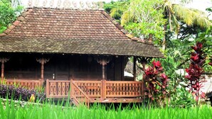 Una casa de madera tradicional con techo de tejas, rodeada de exuberante vegetación y plantas tropicales.