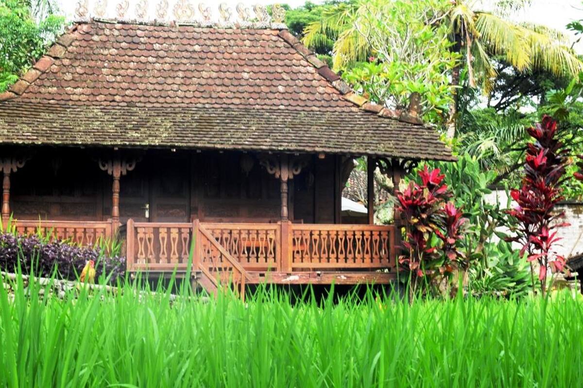Uma casa de madeira tradicional com telhado de telhas, rodeada por vegetação exuberante e plantas tropicais.