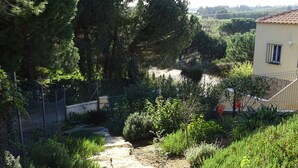 Un sendero de piedra que atraviesa un jardín con diversas plantas y árboles.