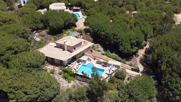 Vista aérea de una propiedad con piscina, zona de patio y un gran jardín rodeado de árboles.