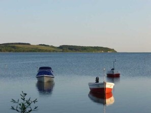 Unclassified image, 3 of 24, button