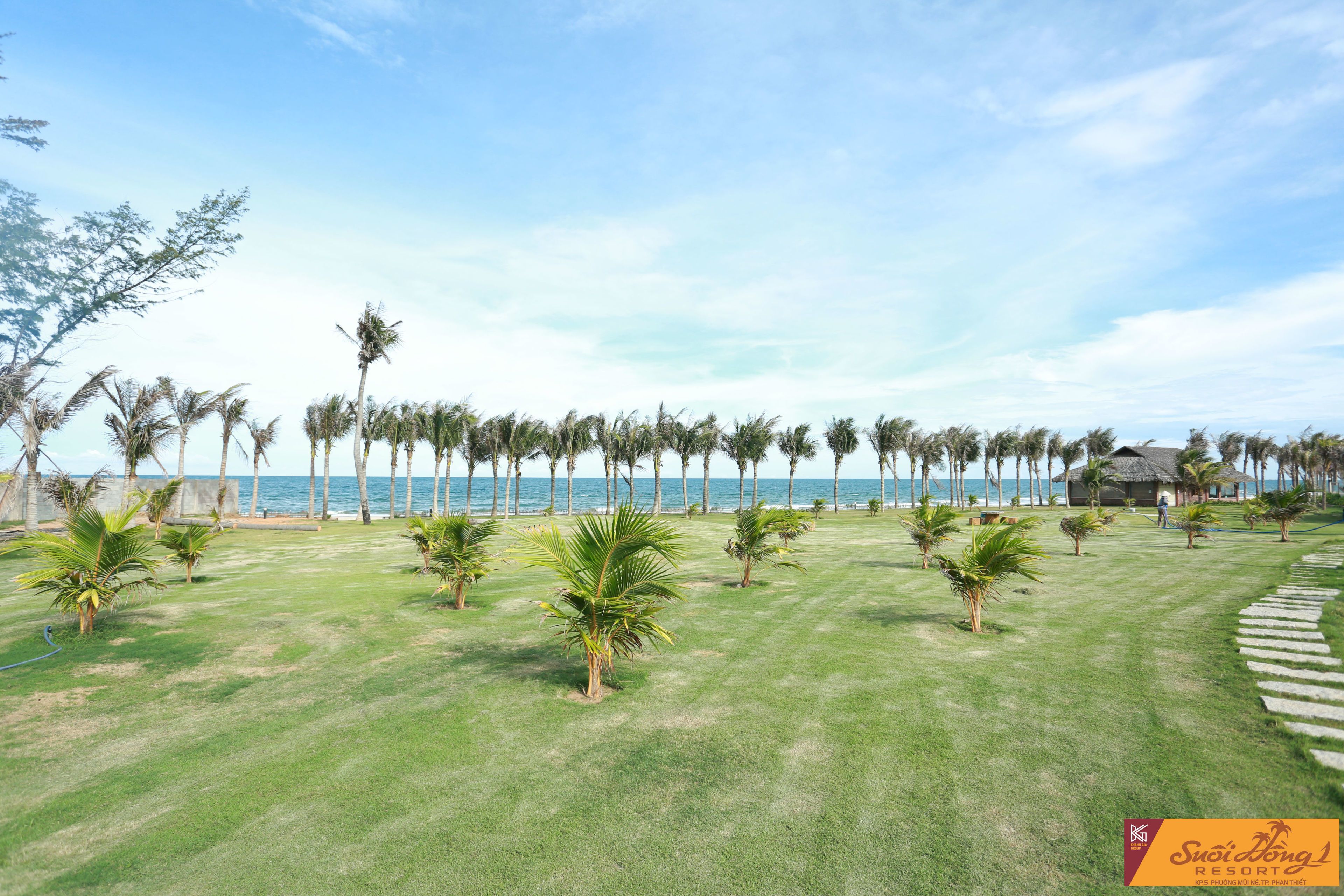 Un resort con césped impecable, palmeras y vista al océano.