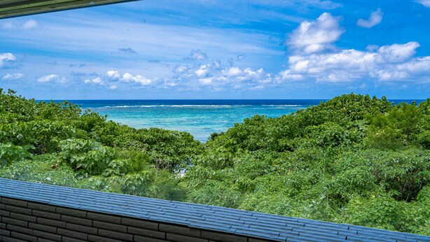 A view of the ocean through dense foliage, with a clear sky and a distant horizon. - Seaside KLATCH -Villa & Sauna- (Ishigaki)