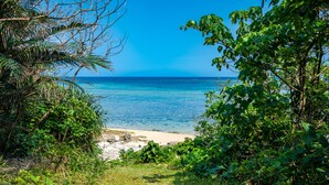 A tropical beach with dense greenery and a clear view of the ocean. - Seaside KLATCH -Villa & Sauna- (Ishigaki)