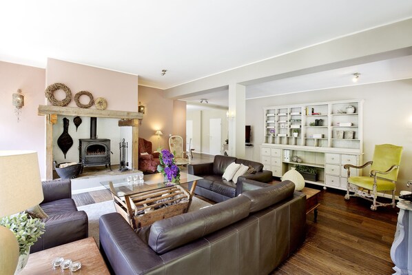 TV, fireplace, video games, DVD player