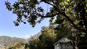 A stone pathway leading to a white building with a balcony, surrounded by lush greenery and mountains in the background.